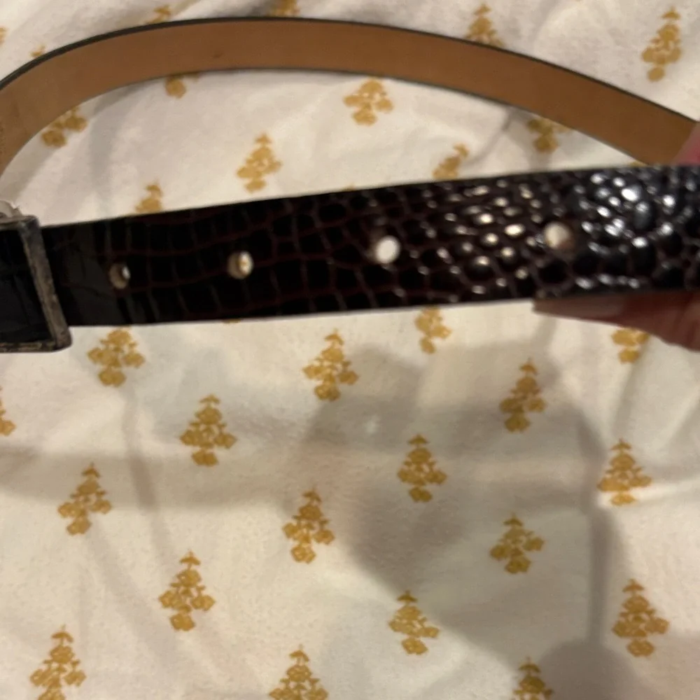 Brown leather Belt with Silver outlined Buckle